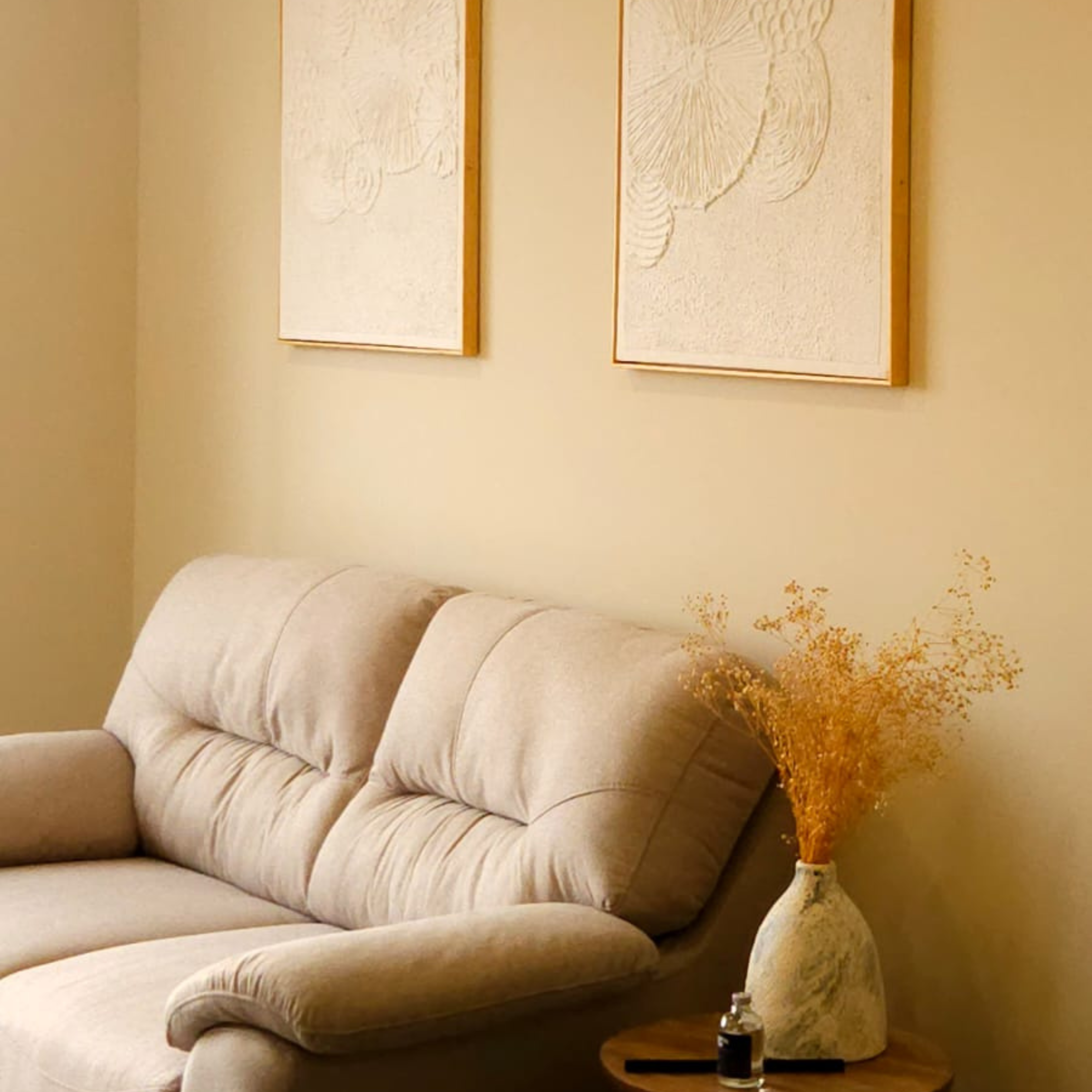 Accesorios & Decorativos