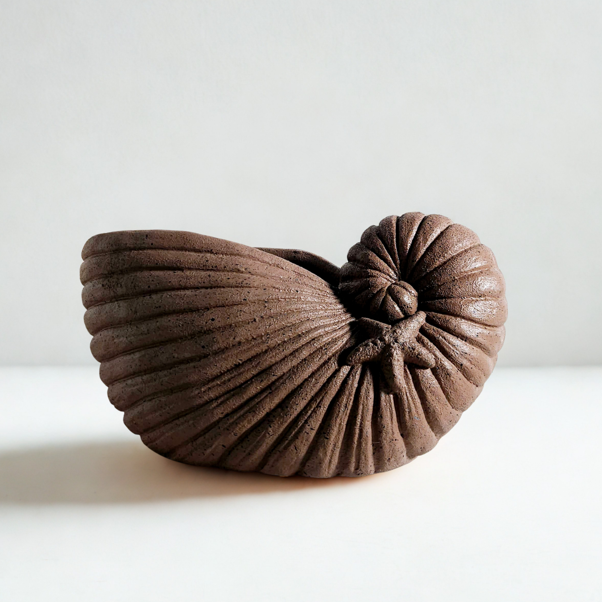 Nautilo Terracota Gigante