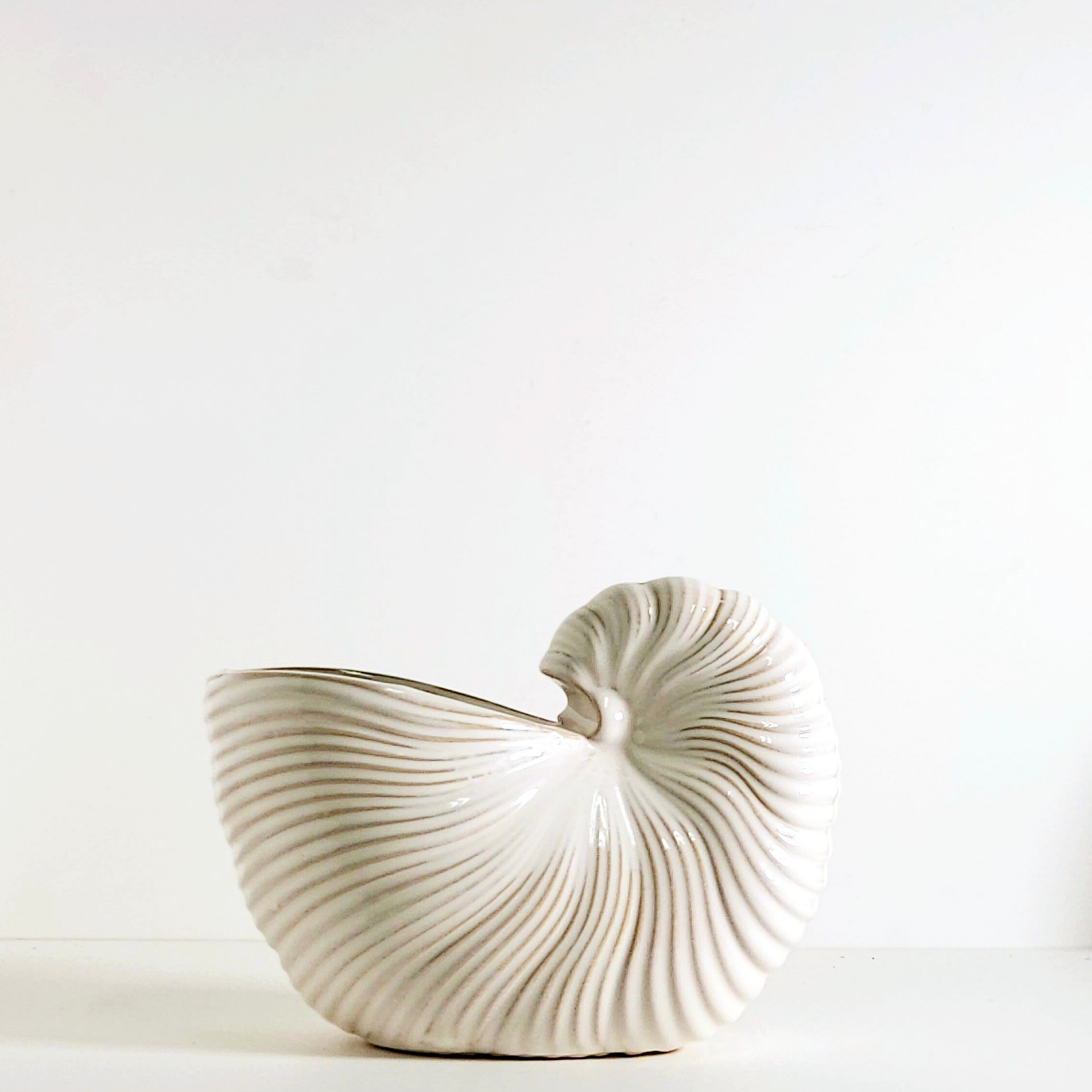 Florero Nautilus