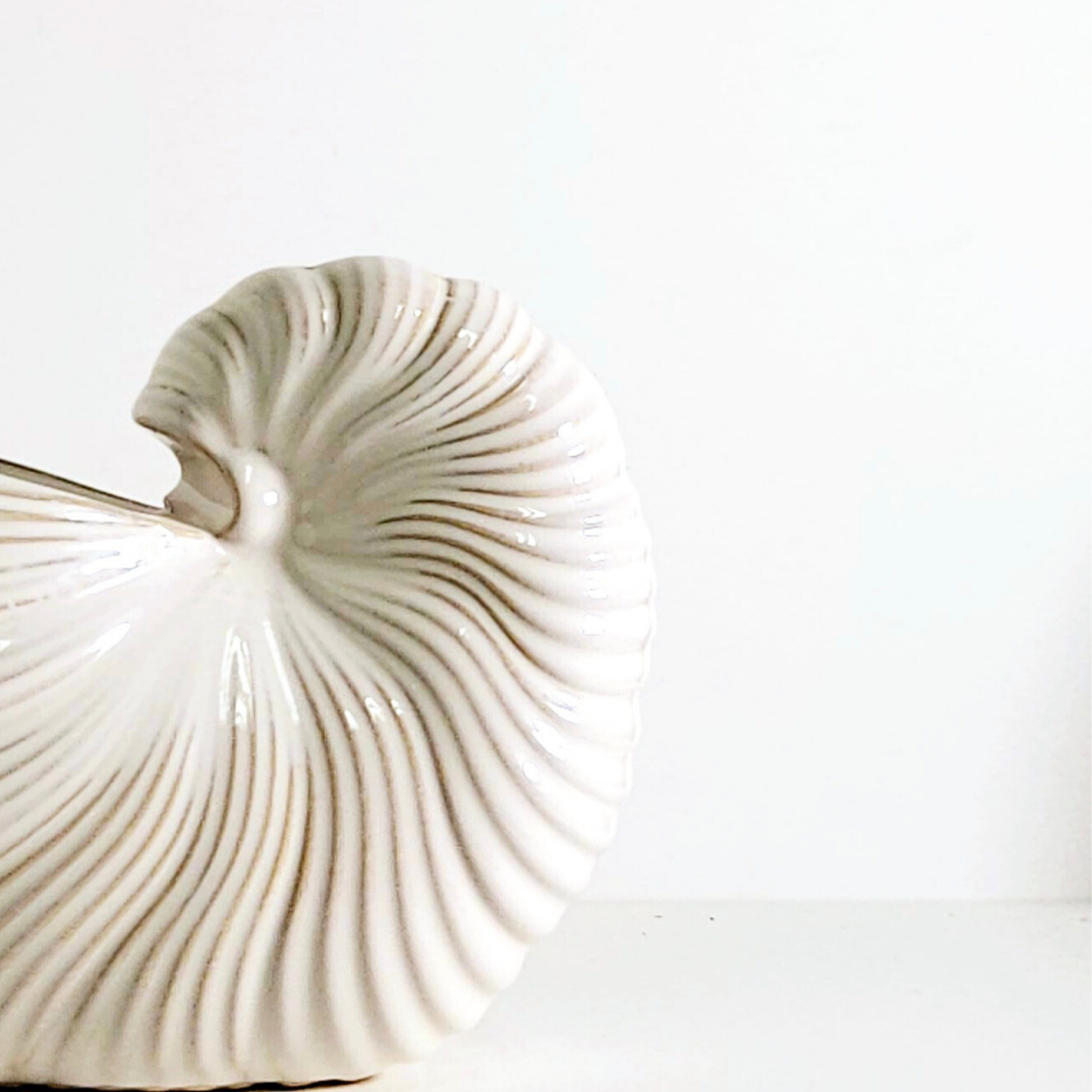 Florero Nautilus