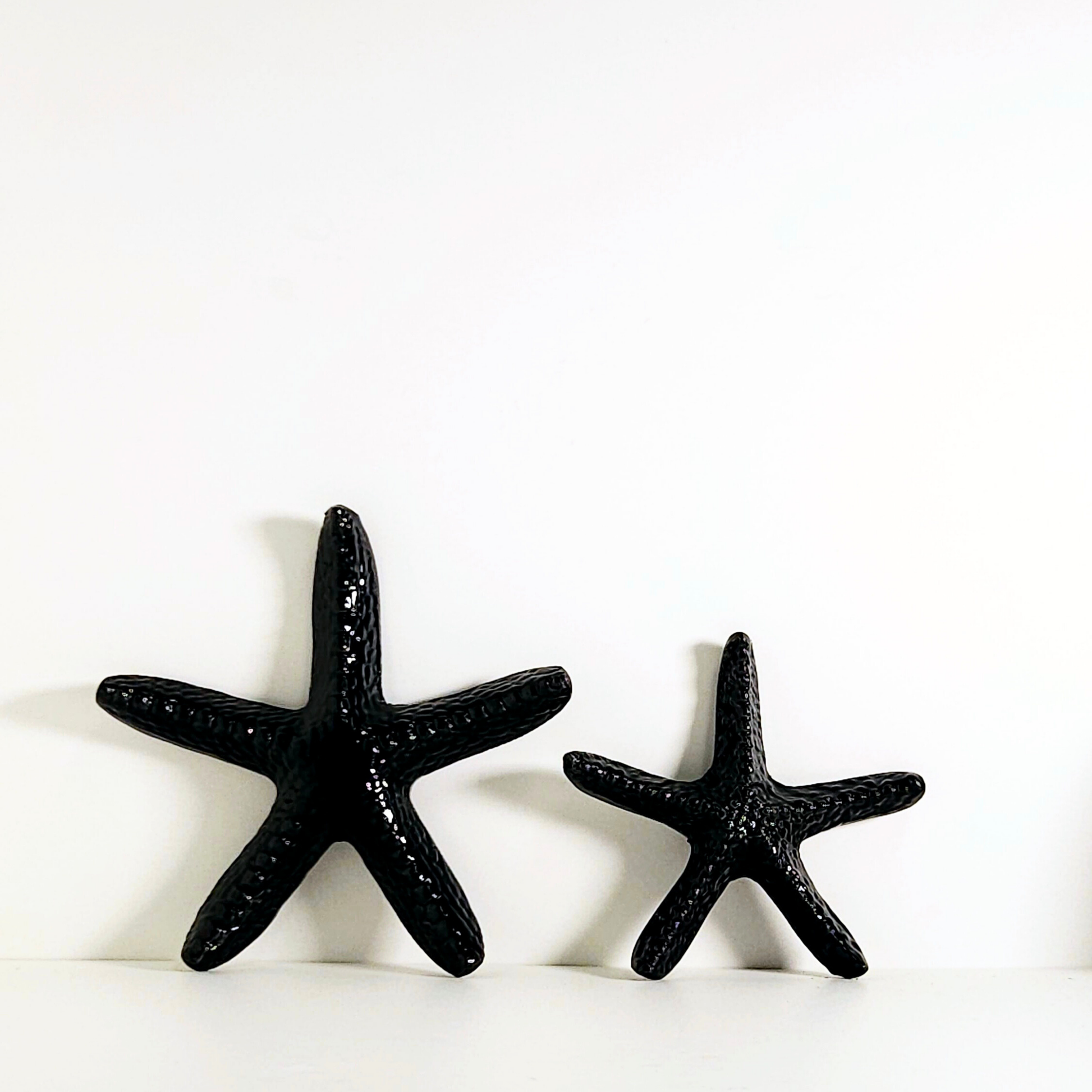 Duo Estrellas de mar